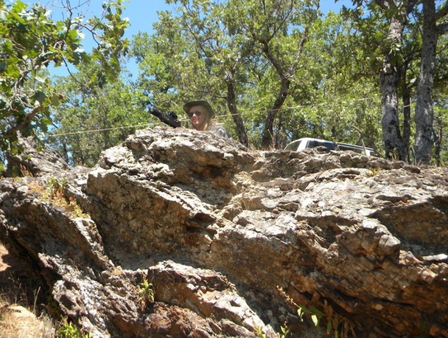  versteckt hinter den Felsen 